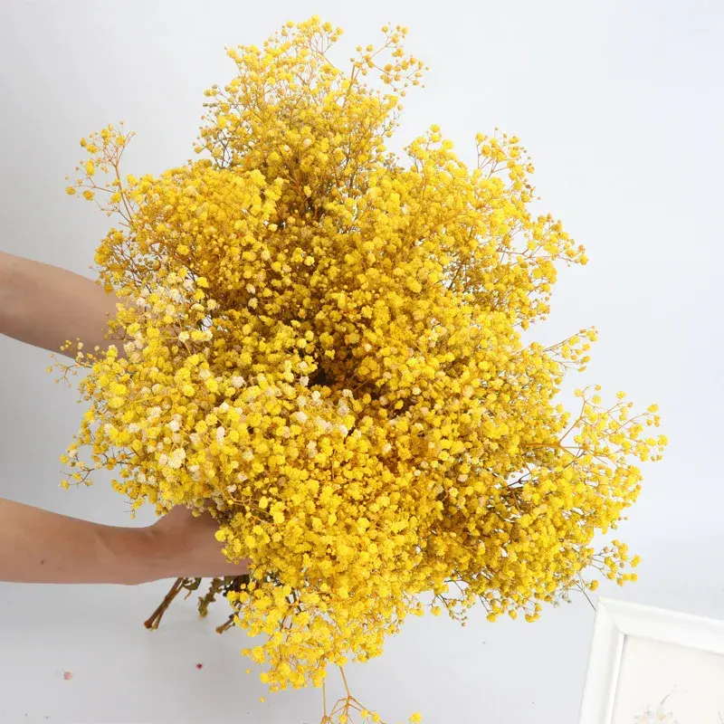 80g Mix Gypsophila Baby Breath Dried Flower Bouquet Boho Wedding Photo Prop Decoration Preserved Gypsophile Home Room Vase Decor - Image 15