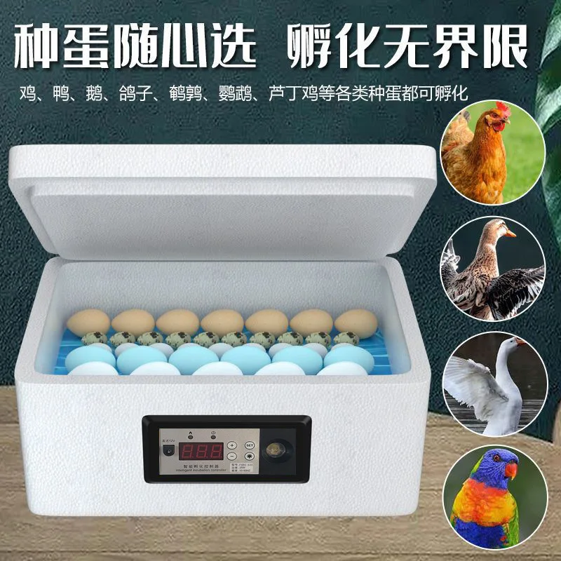 

Suitable forNew Weida Incubator Automatic Small Household Water Bed Incubator Chicken, Duck, Goose, Pigeon, Peacock Incubator