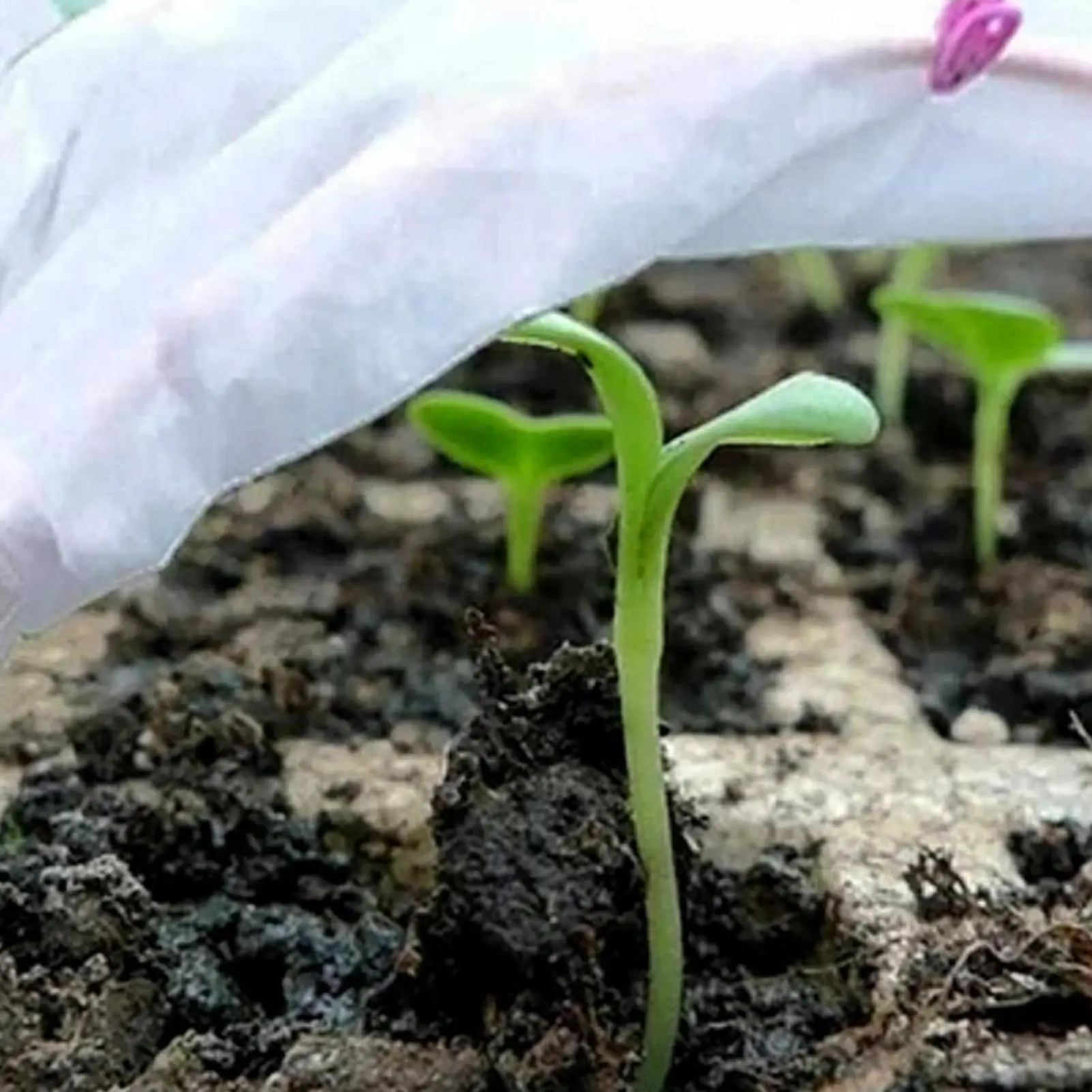 

Чехлы от мороза для уличных растений 10X30FT, защитные чехлы от мороза, тканевые простыни для кустарников, садовых овощей