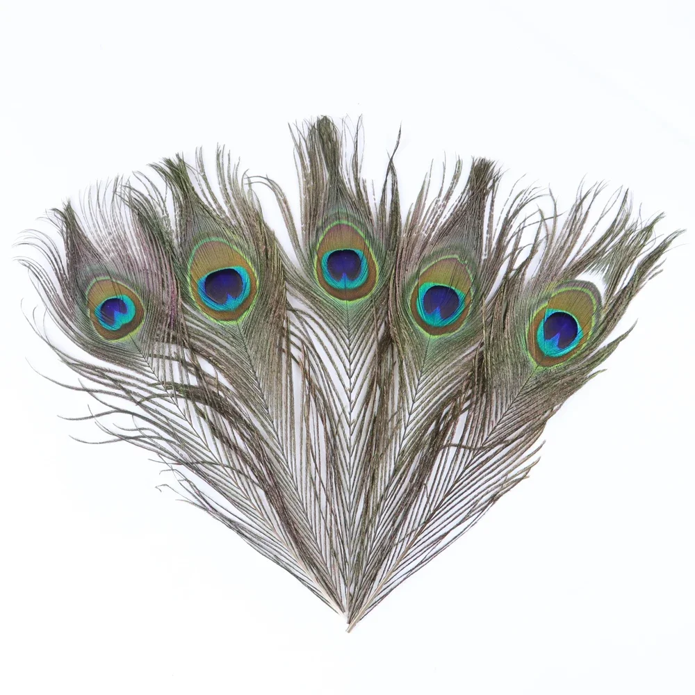 10PCS Natural Peacock Feather Bulk 8-70CM Long for Dress Clothing Sewing Feather Accessories Wedding Party Restaurant Vase Decor