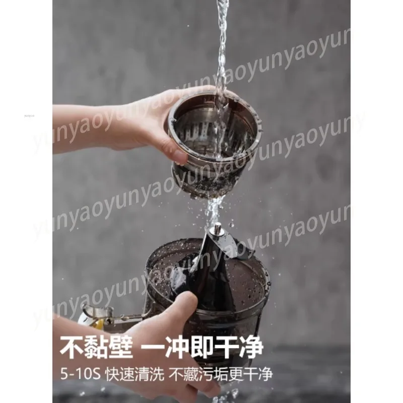 Stainless Steel Juicer with Pulp Separation, Slow Masticating Fruit Vegetable Extractor for Home