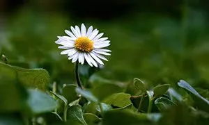 2026 ترطيب غير مؤلم استيراد عميق ترطيب الوجه يرطب شد الوجه مكافحة الشيخوخة آلة إزالة حب الشباب معدات نانو I7 #2