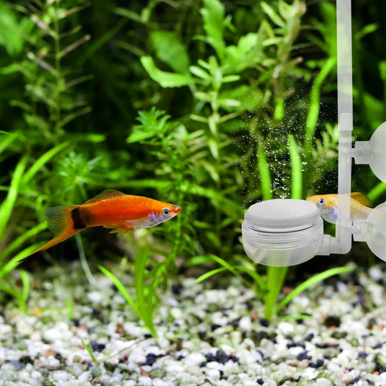 

5 Pcs Diffuser Aerobic Pump Bubble Stone Fish Tank Air Other Aquarium Supplies