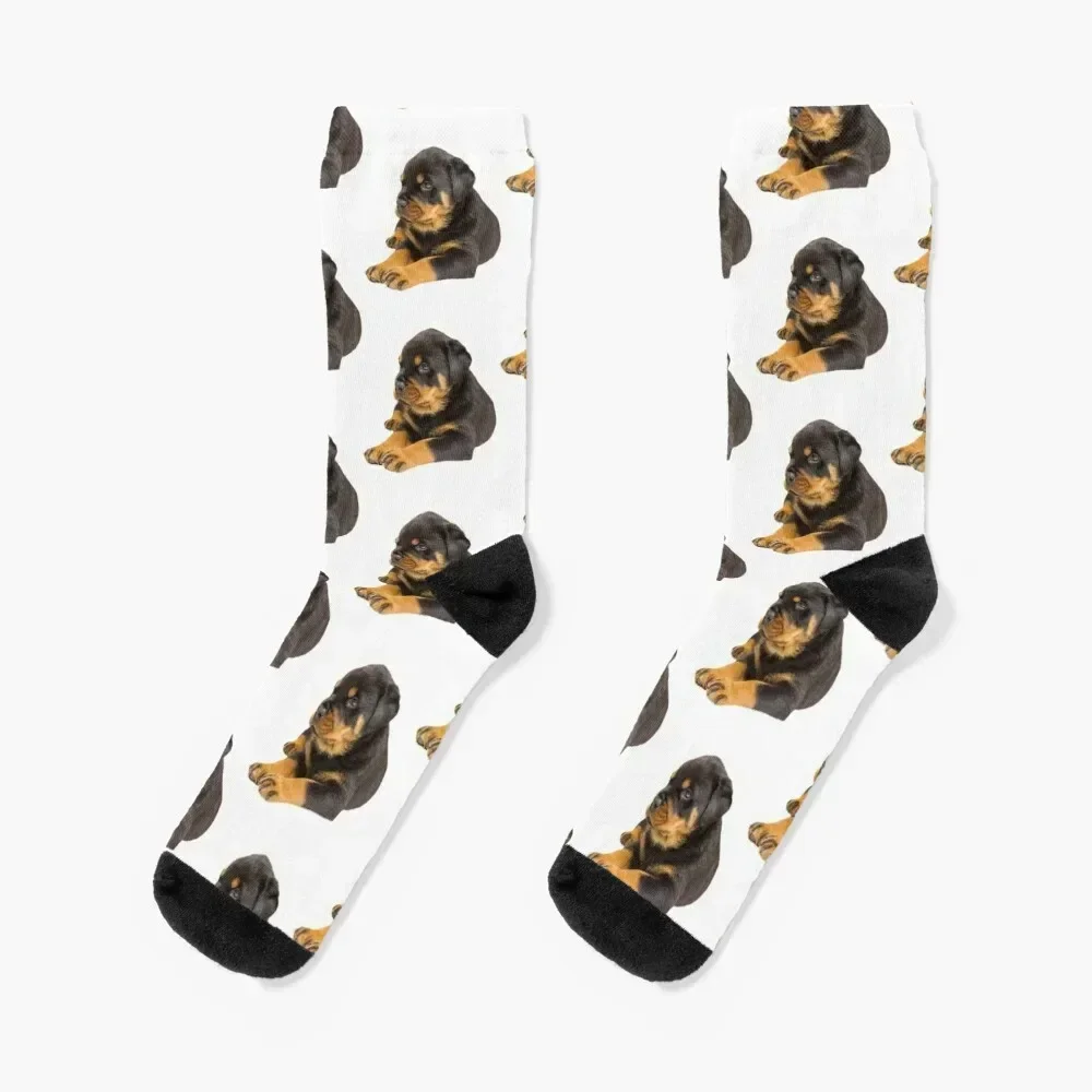 ROTTWEILER DOG TSHIRT Socks happy retro Socks Female Men's