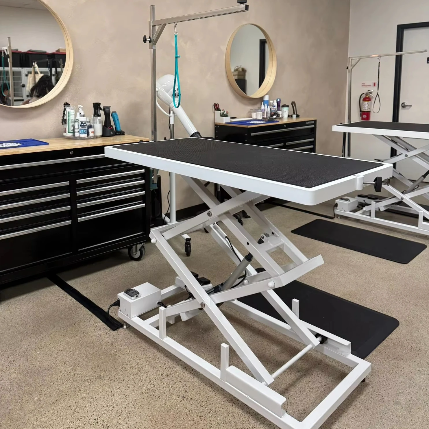 

Wholesale Electric Accordion Table for Pet Salon Luxury Modern Rubber Dog and Cat Grooming Accessories