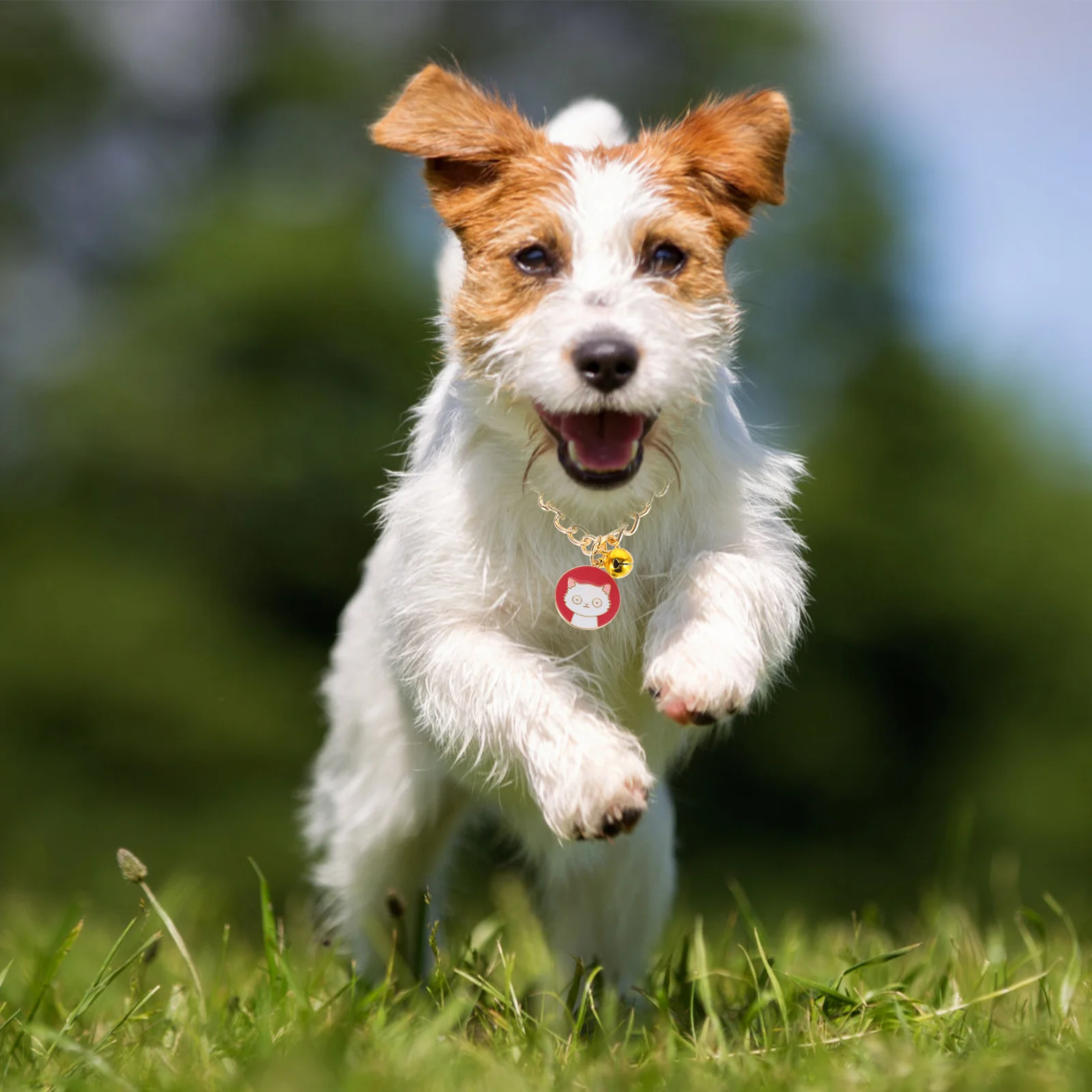 

Decorative Puppy Collar Bright Natural Colors Soft Comfortable Wear Ideal for Pet Festival Costume Cat Dog Necklace Accessory