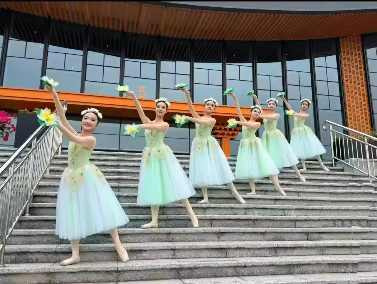 Ballet Tutu Rok Vrouwen Jurk Lange Vestidos Voor Meisjes Prestatiekleding Zwaan Buikdans Rokken
