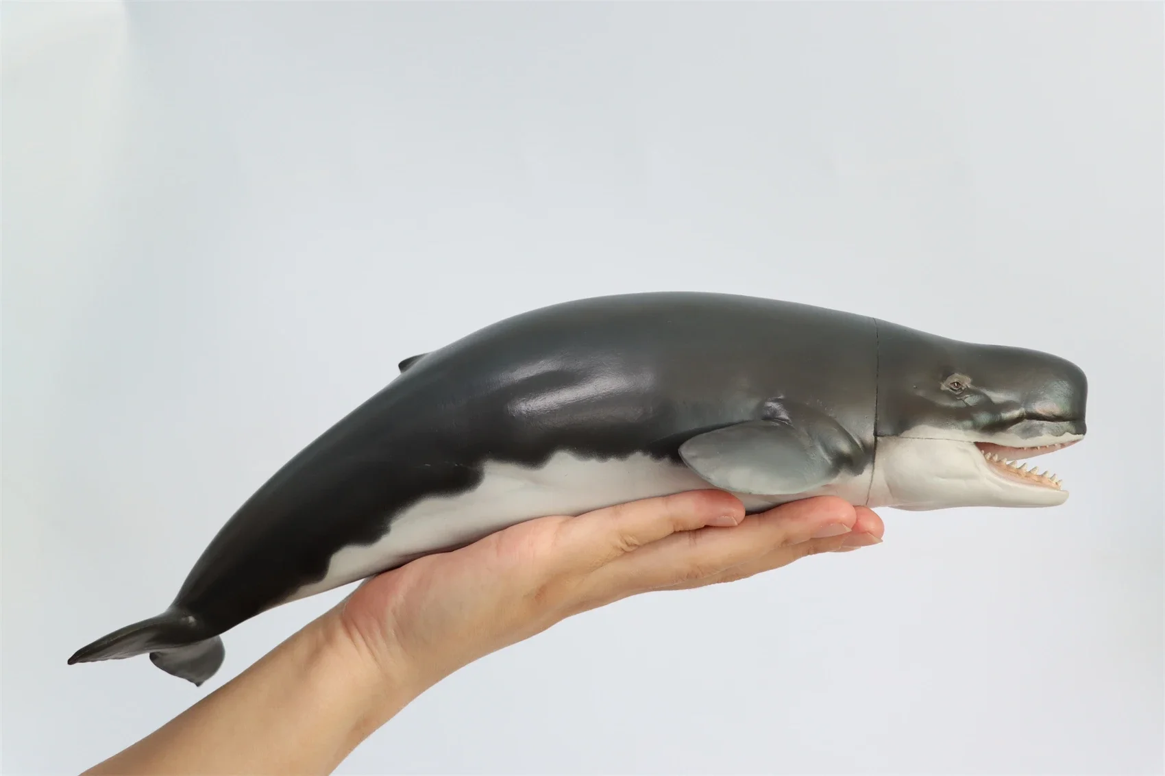 PNSO Prehistoric Dinosaur Model 56 Requena The Livyatan Collection Science Education Sperm Whale Animal Decoration Toys