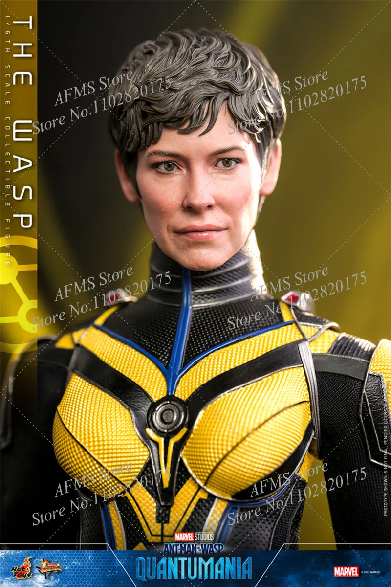 

HOTTOYS MMS691 1/6 Women Soldier The Wasp Ant-Man And The Wasp Superhero Full Set 12Inch Action Figure Model Collection Toys
