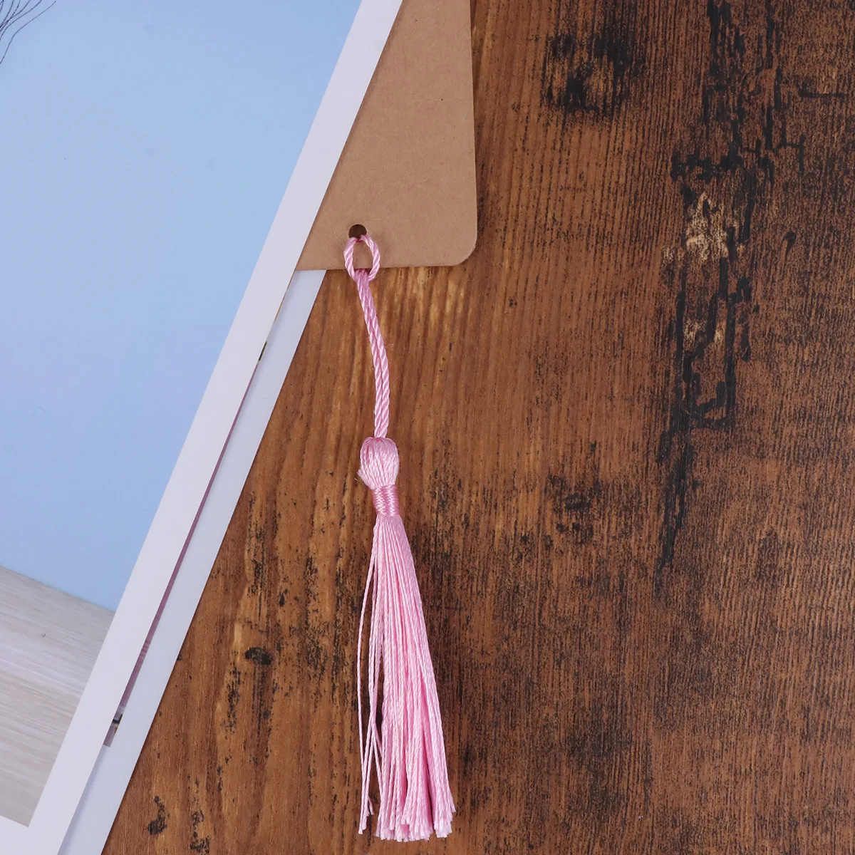 

24Pcs Blank Bookmarks Paper Cardstock with Tassel for DIY Reading Gifts Party Favor Souvenirs Paper Book Mark Crestive Bookmark