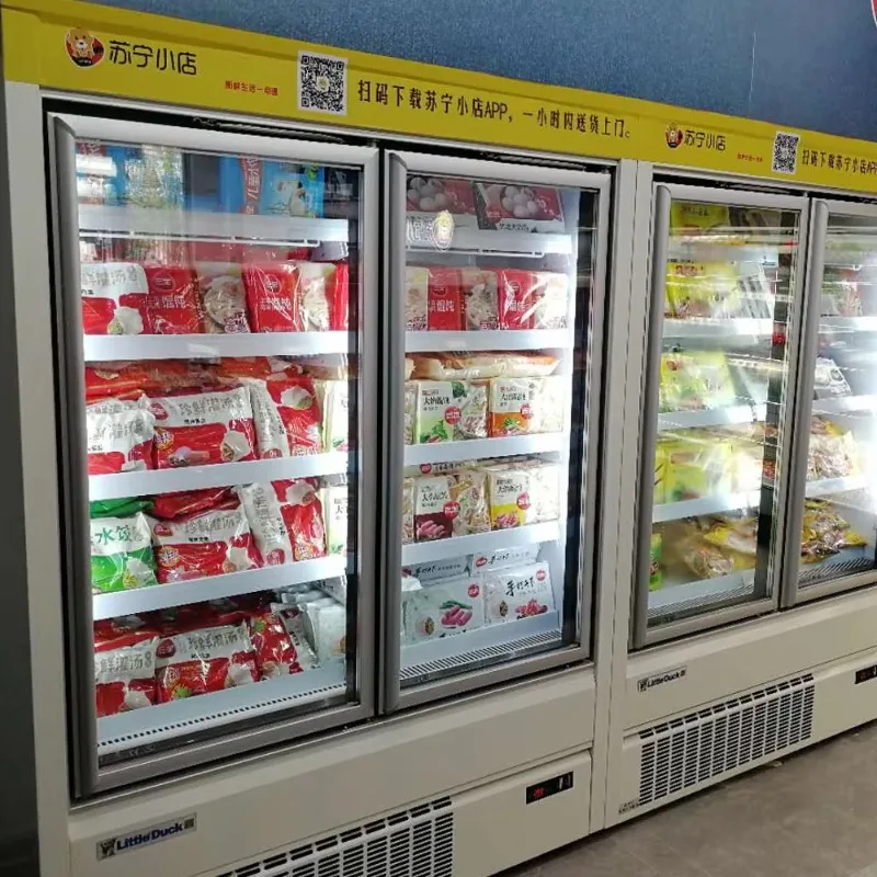 2026 Plug-In Commercial Freezer 2 3 Glass Door Single-Temperature Best-Selling for Convenience Store Frozen Food Customized