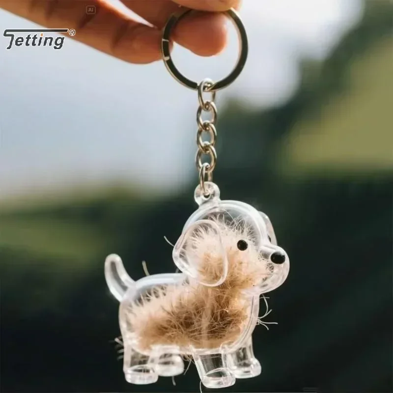 Collezione di peli di cani e gatti Ciondolo Scatola portaoggetti per capelli Borsa Fascino Pendenti per animali domestici Capsula per capelli trasparente Cani Gatti Souvenir Regalo