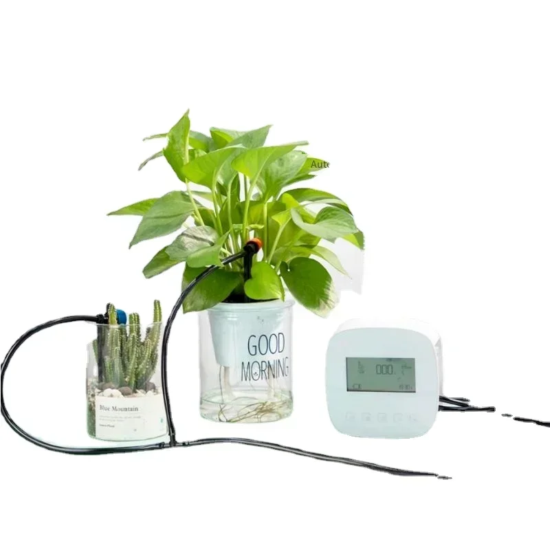 Reloj inteligente con pomieszczeniach lub