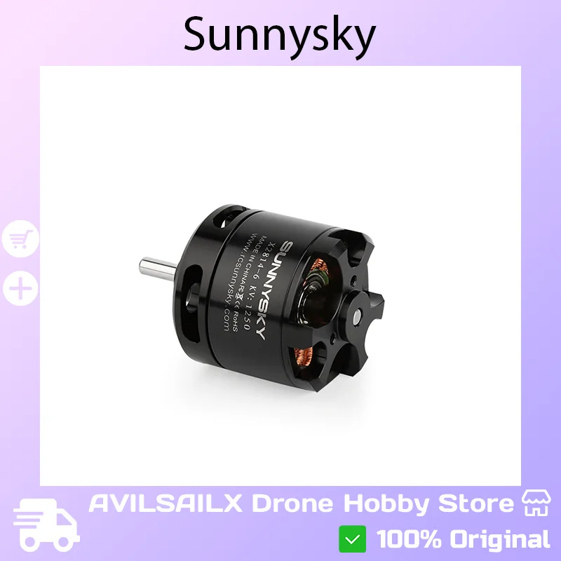 

Sunnysky X2814 Outrunner Brushless Motor 1000KV 1250KV 1450KV For 36-48 Inch RC Fixed Wing Airplane UAV Aircraft Power Motor