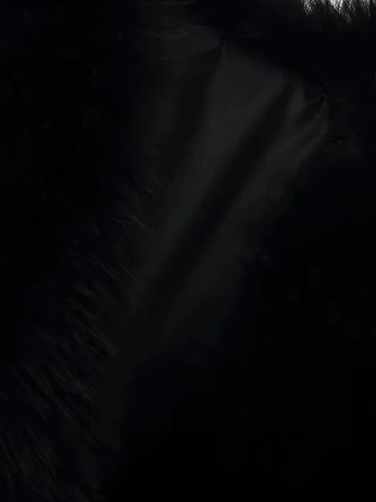 Veste à col en fausse fourrure pour femmes, épissure noire, manches longues, taille fine, manteau arrière, mode streetwear pour dames, nouvelle collection