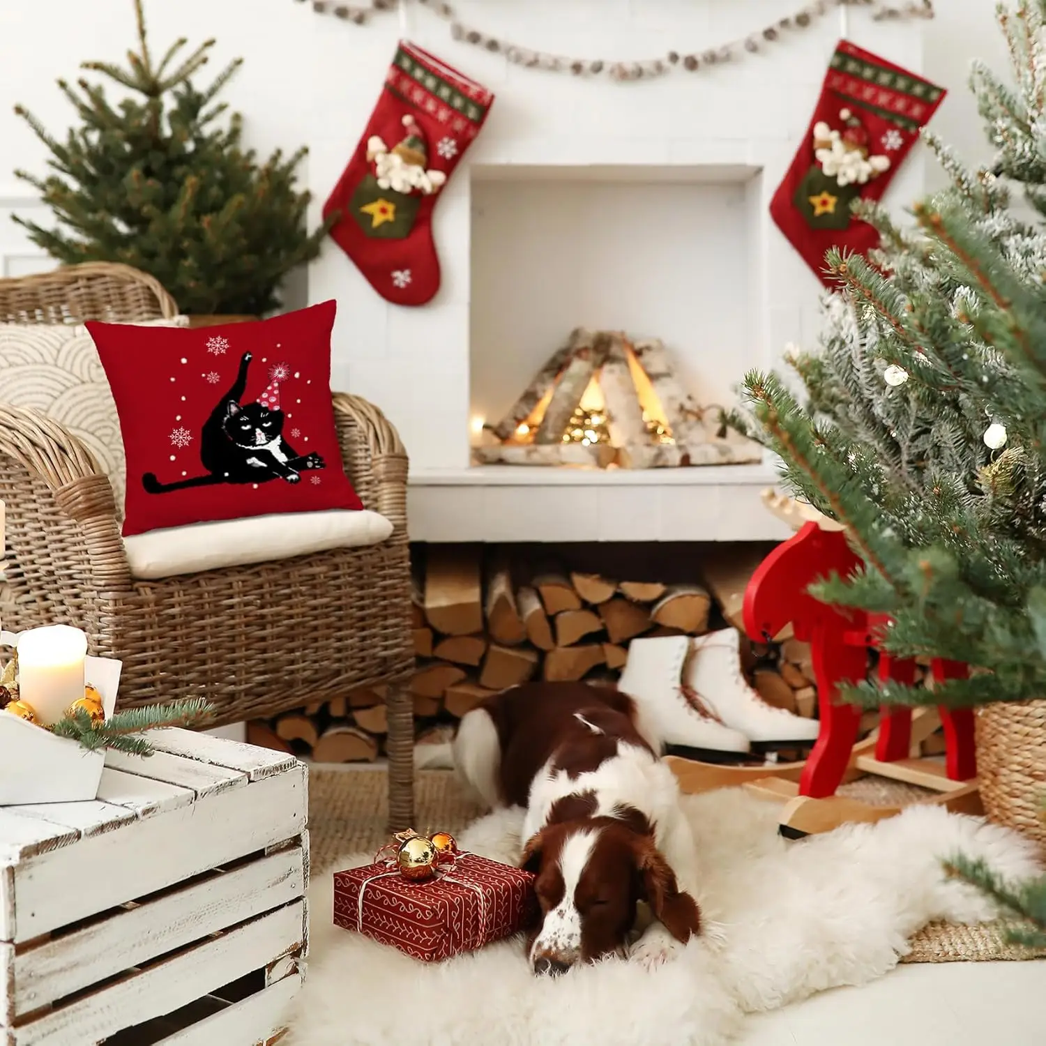 كوجين فيستيفو دي غاتو نيغرو، نافيداد - ألموهادا تيماتيكا كون ديكو دي كوبو دي نيف