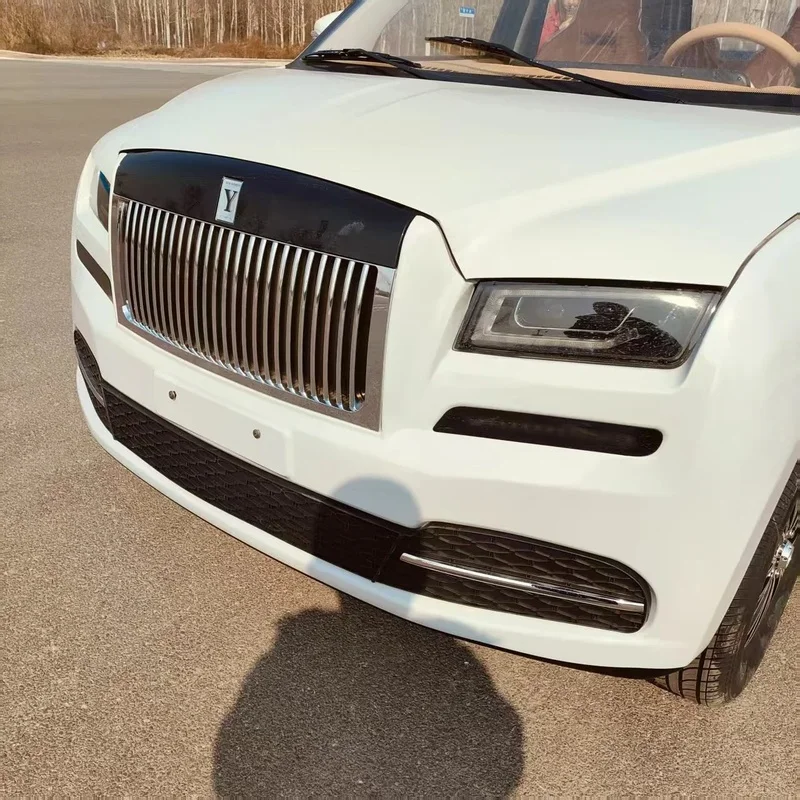 High Quality New EV Color Customized 3500W 4 Wheel Car Adult Daily Use NEDC 401-500km Range 60km/h Speed