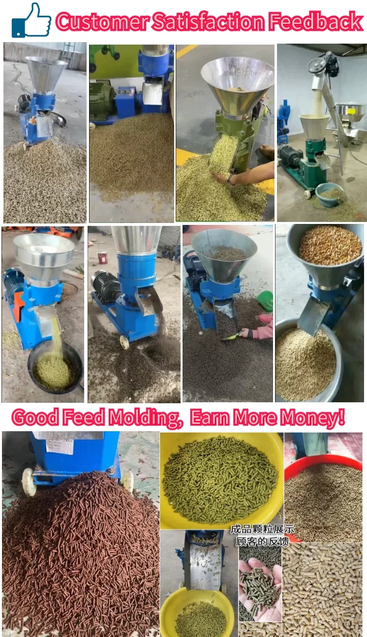 Tilapia Chiken Smallest Small Lab Mini Animal Gut 2mm Biomass Feed Pellet Desktop Used Pelletizer For Chicken Manure Sale 300