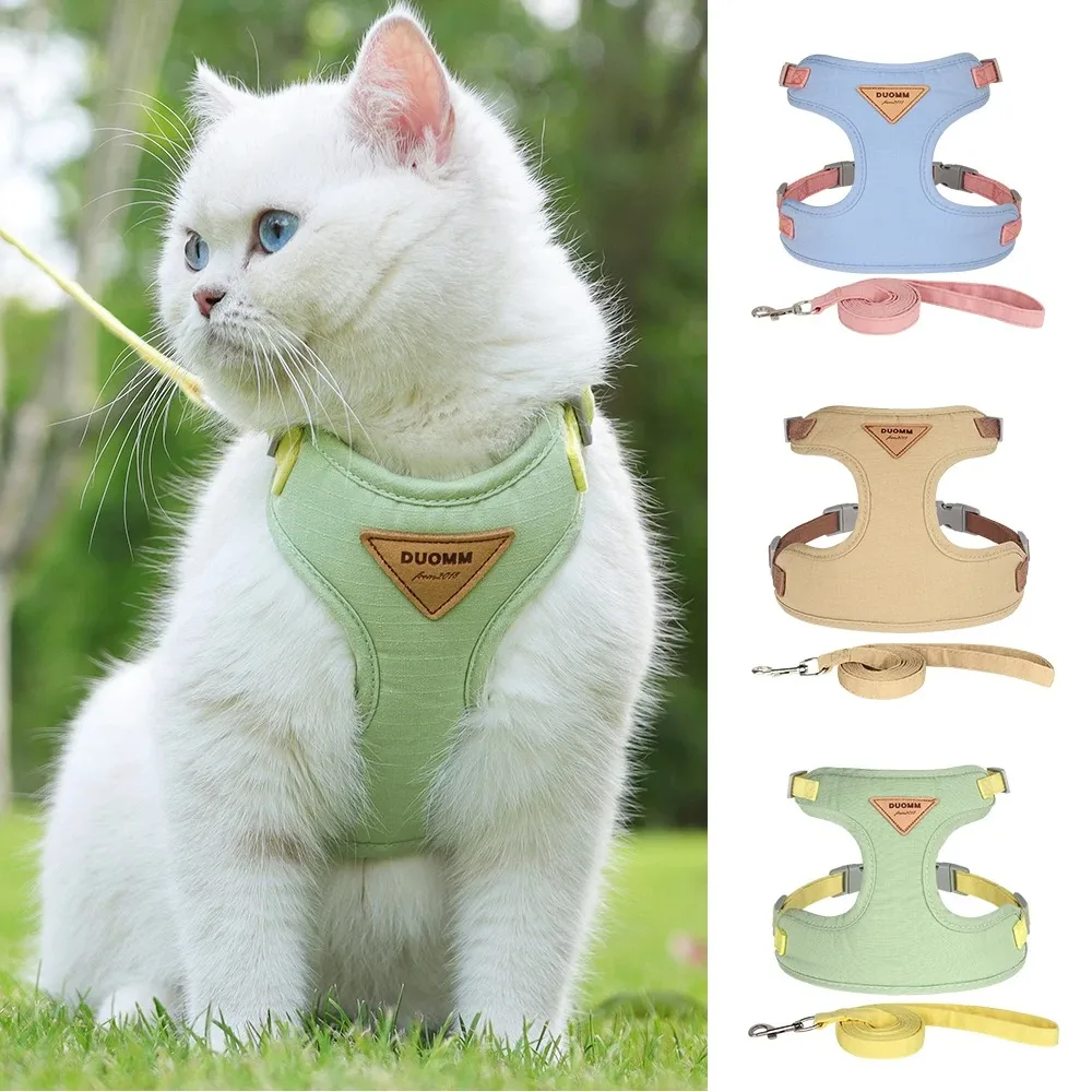 Collares para gatos, accesorios para Collar para mascotas, correa para mascotas, arnés, productos para animales, Collar para gatitos, Chatons, lindo gatito