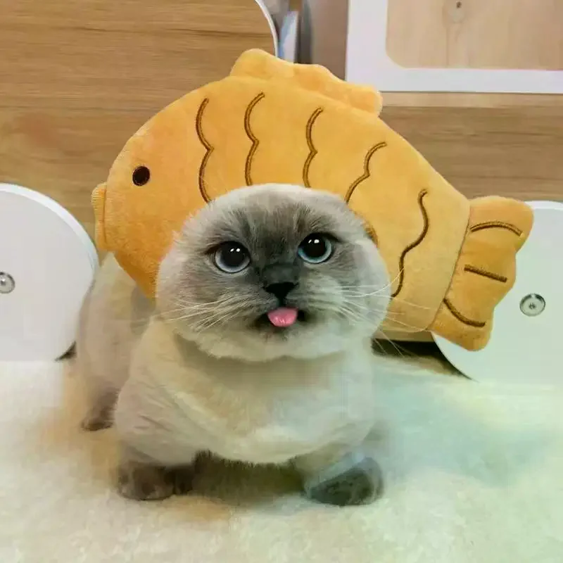 Pet Photo Prop Plush Hat Cute Animal Shaped Headwear Adjustable Size for Cat Dog Cosplay Party Dress Up