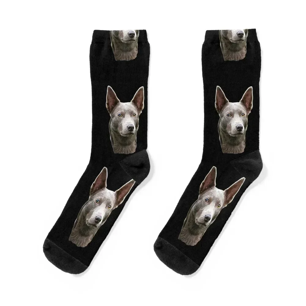 

Fawn Australian Kelpie Socks floral New year's Thermal man winter golf Women's Socks Men's