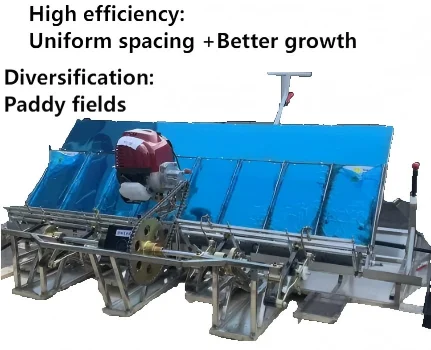High-Efficiency Powered Rice Transplanter Automatic Seeder Adjustable Features for Paddy Fields Motor Gearbox Core