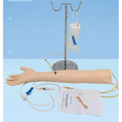 Life Size Anatomical Phlebotomy Venipuncture Practice Arm AnatomyInjection Practice Medical Simulator Nurse Training Kit