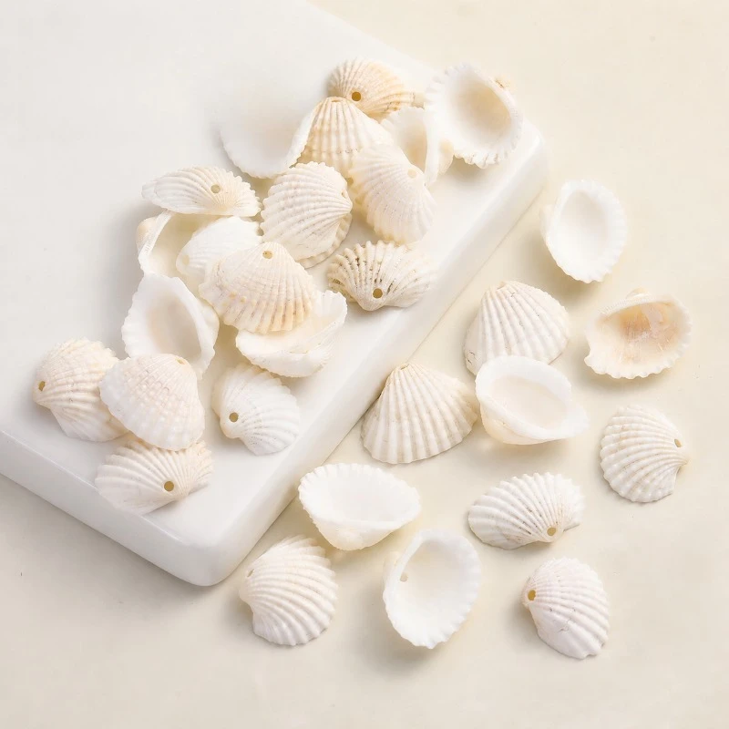 

Natural Shell Conch Pendant Single Hole Gold Rim Seashell Exquisite Craft Ornament DIY Jewelry Making Aquarium Decorations