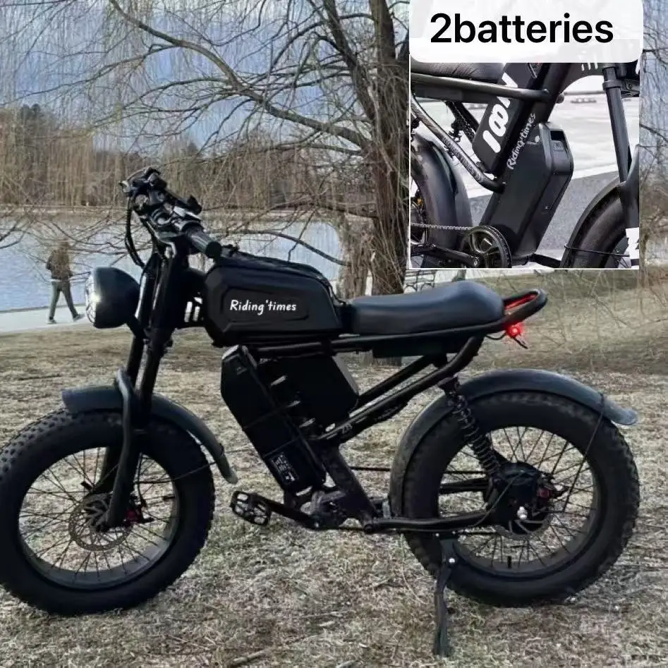 

STLF US Warehouse in Stock 1500W Dual Battery Power E-Bike 48V 7-Speed Off-Road Fat Tire Electric Bicycle Hot Sale