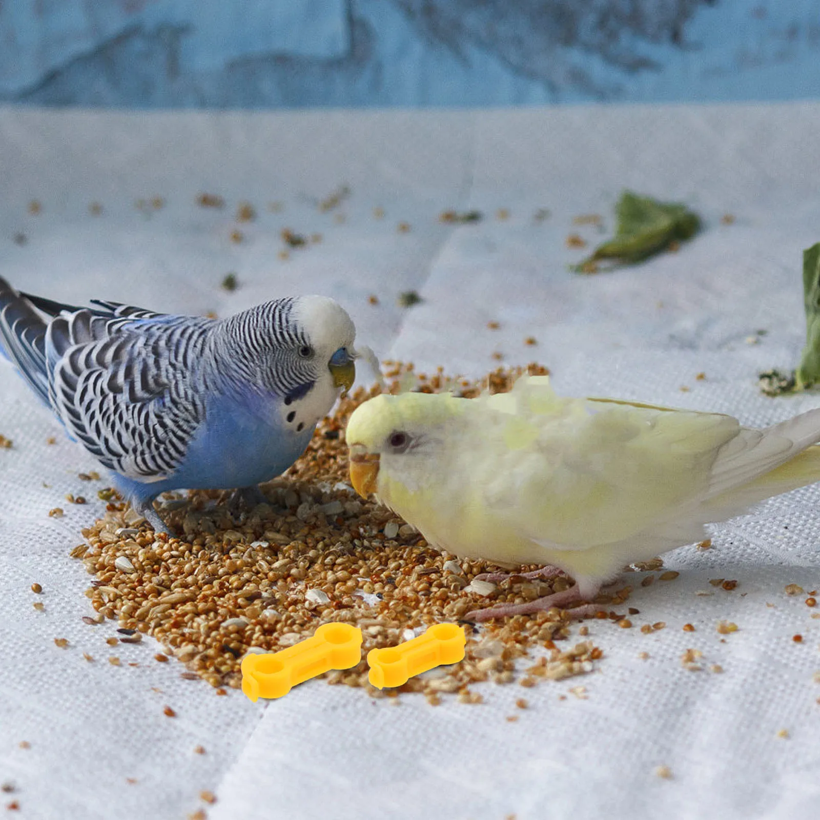 10 قطعة الطيور الساق مصحح الببغاء القدم محاذاة هدفين ل Splay الساق إعادة تأهيل الطيور دعم جهاز الطيور خواتم القدم #1