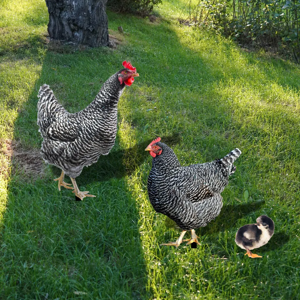 

3pcs Acrylic Lawn Stakes Decorative Chicken Yard Ornament Mirror Effect Hen Insert Outdoor Garden Decoration Farmhouse Style