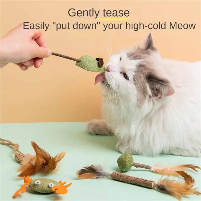 Pet Catnip Toys Edible Catnip Ball Safety Healthy CatMint Cats Home Chasing Game Toy Products Clean Teeth Stomach Cat Toys Mint