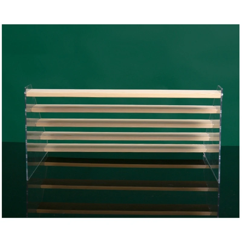 Multiple Tiers Anime Statue Clear Protective Cover Desktop Display