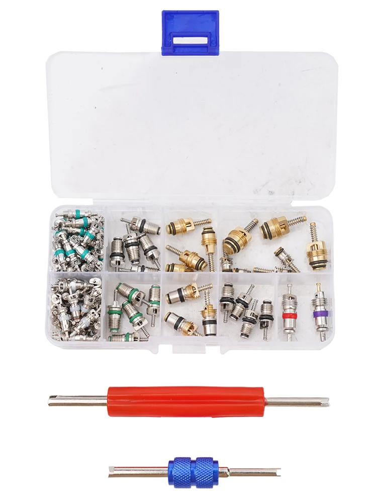 For R134a Auto Air Conditioning Valve Core Tool Set with 100 Cores and 2 Removal Tools for Fast and Easy Maintenance