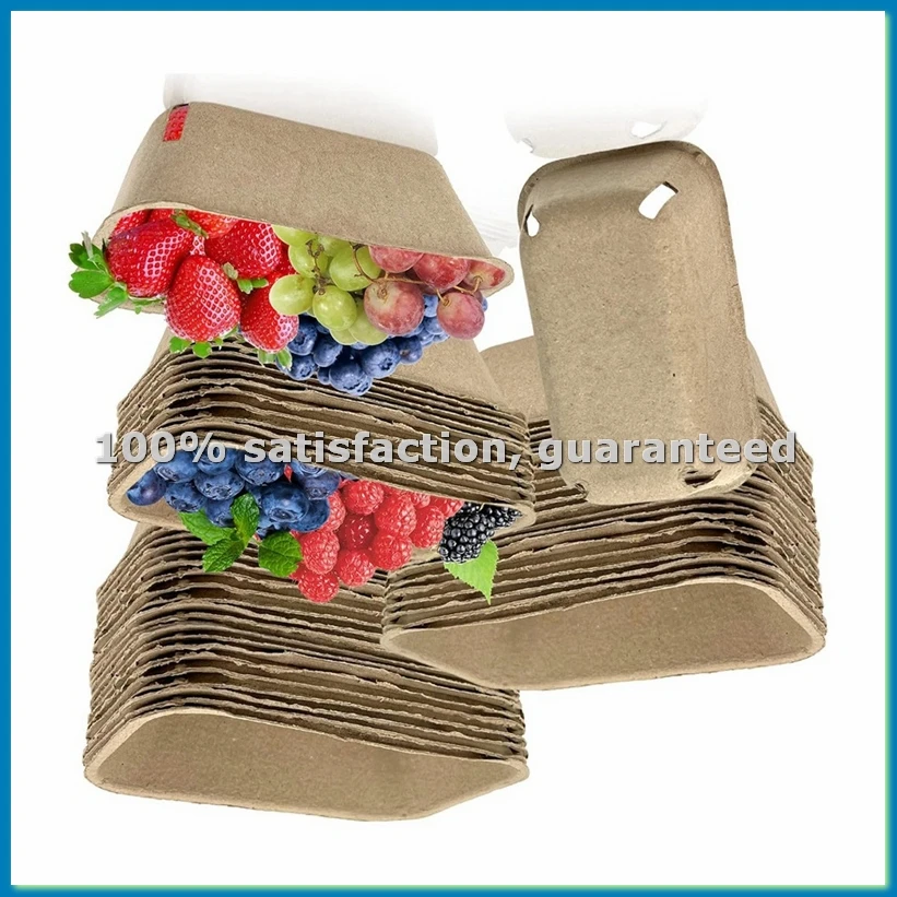 50 Pack Pulp Fiber Berry Basket for Picking Fruit, Molded Berry Basket for Blueberry Raspberry Cherry Strawberry-A73M