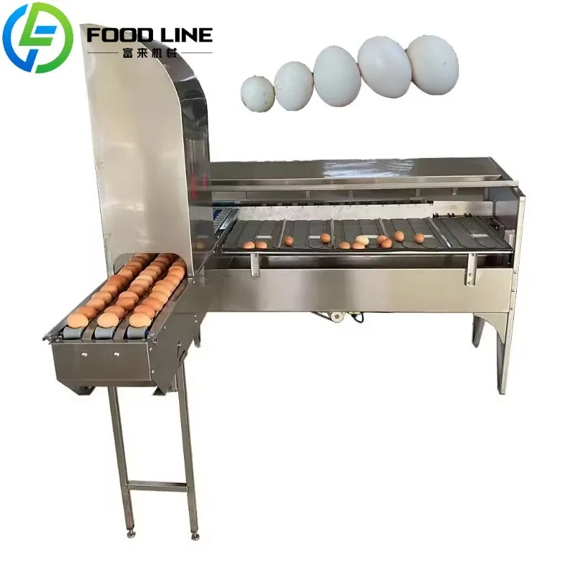 

Hot Selling Egg Size Grading Machine Egg Weight Grading Classification Sorting Machine for Sale