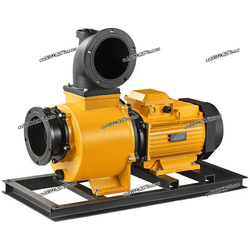 

Agricultural High Pressure Pumping Pump Large Flow Agricultural Irrigation 220V380V Fish Pond High Lift Motor Self-priming Pump