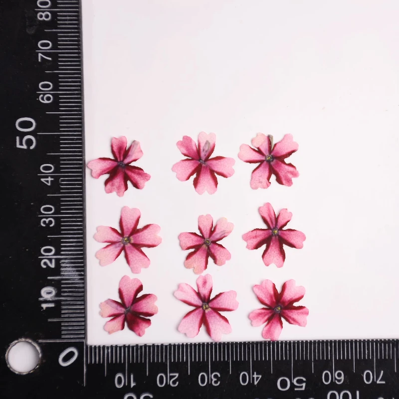 12 Stück, Lutscher Eisenkraut gepresste Blumen, getrocknete Blumen für DIY-Bastelbedarf, Nagelkunst-Dekor, Harzschmuck, Handyhüllen-Dekoration – Detail 5