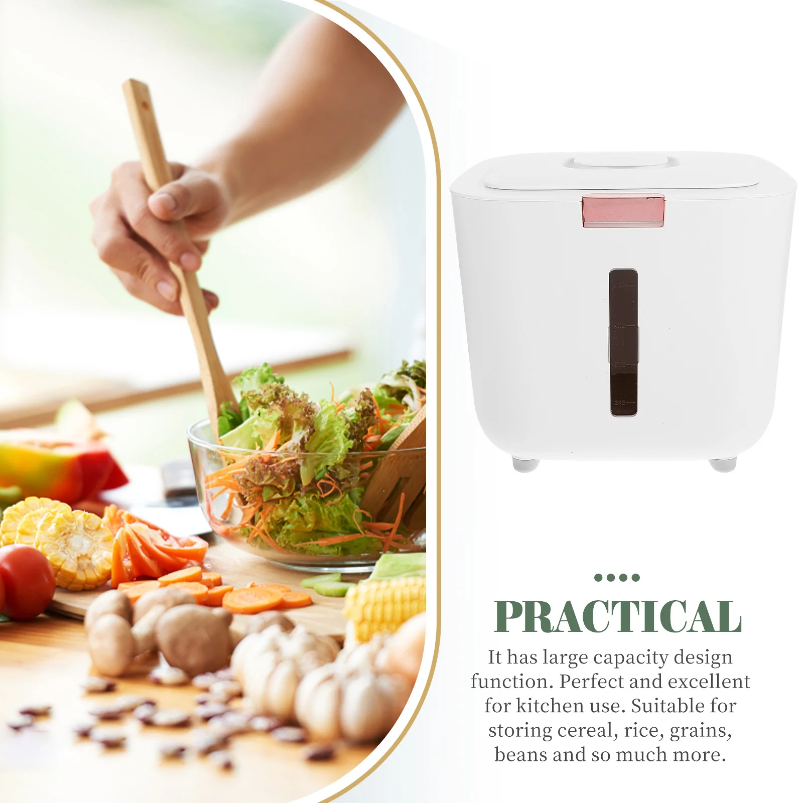 

White 10lbs Rice Container Sealed Dispenser Bin Moisture Proof Insect Proof Grain Storage Box Kitchen Use Transparent Window