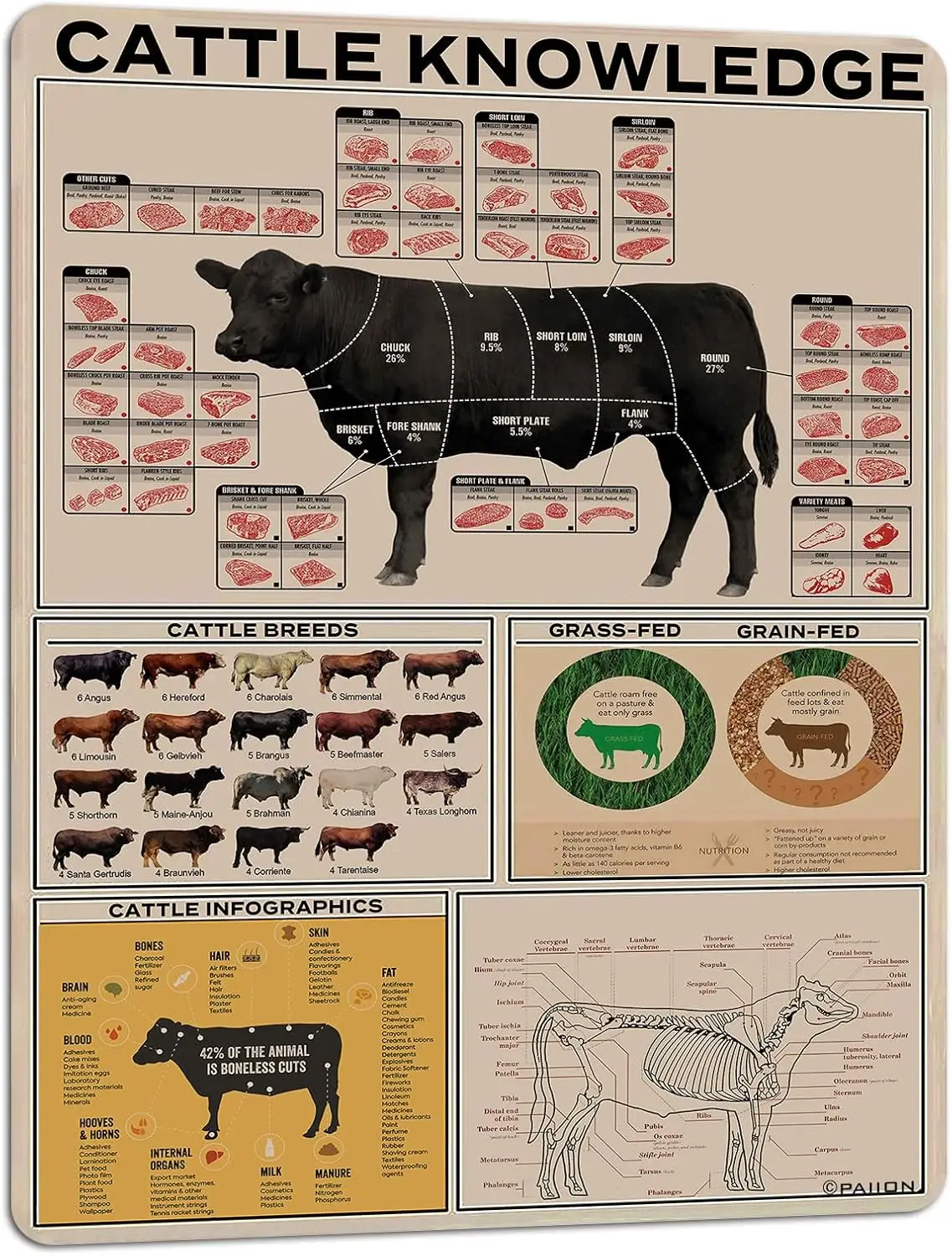 Y1,PAIION Plaque Métallique Éducative sur les Bovins, Affiche d'Informations sur les Races, Décoration Murale pour Ferme Animale, Club d'Anatomie, École