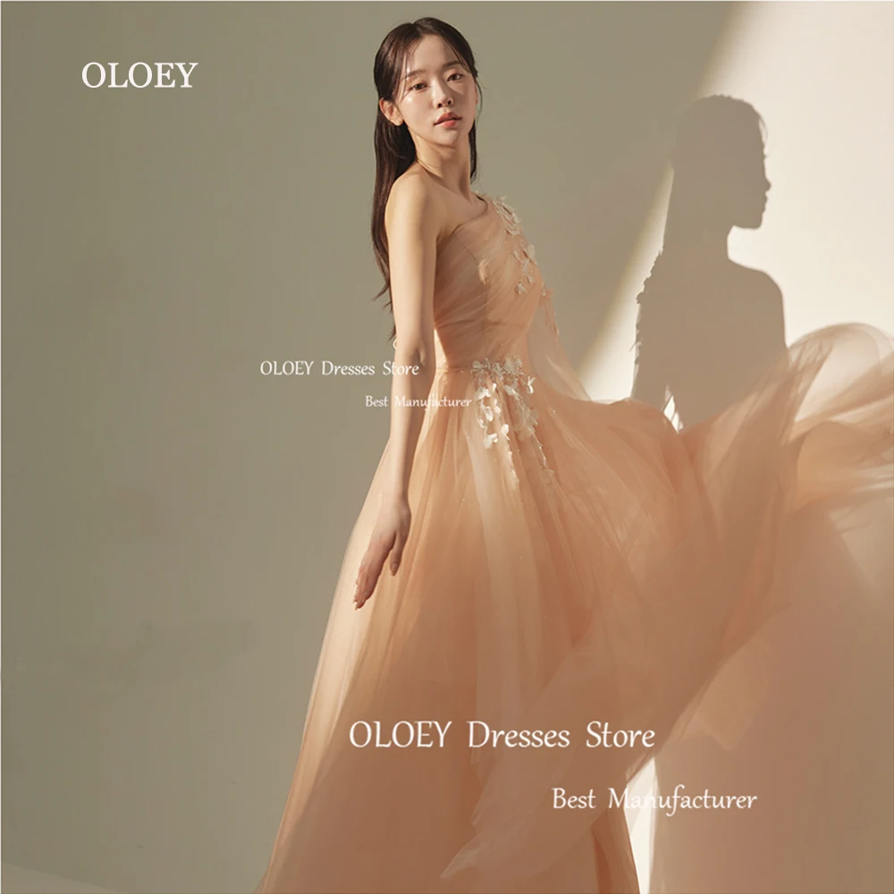 

OLOEY Fairy Coral Tulle A Line Korea Evening Dresses Wedding Photoshoot One Shoulder Appliques Wedding Photoshoot Party Dress