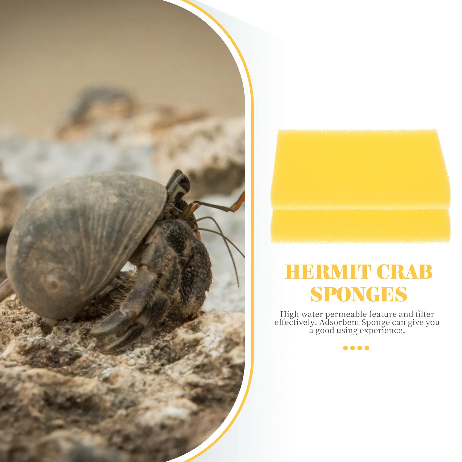 

10 Pcs Fine Hole Sponges Absorbent Sponge Fish Tank Aquarium Water Filter Pad Reptile Sponge Terrarium Filter Glass Foam