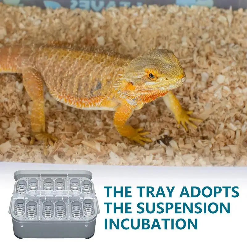 Clear Incubator | 12 Grids Snake Eggs Incubator Tray | Incubators for Hatching Eggs Portable Reptile Incubator for Reptiles