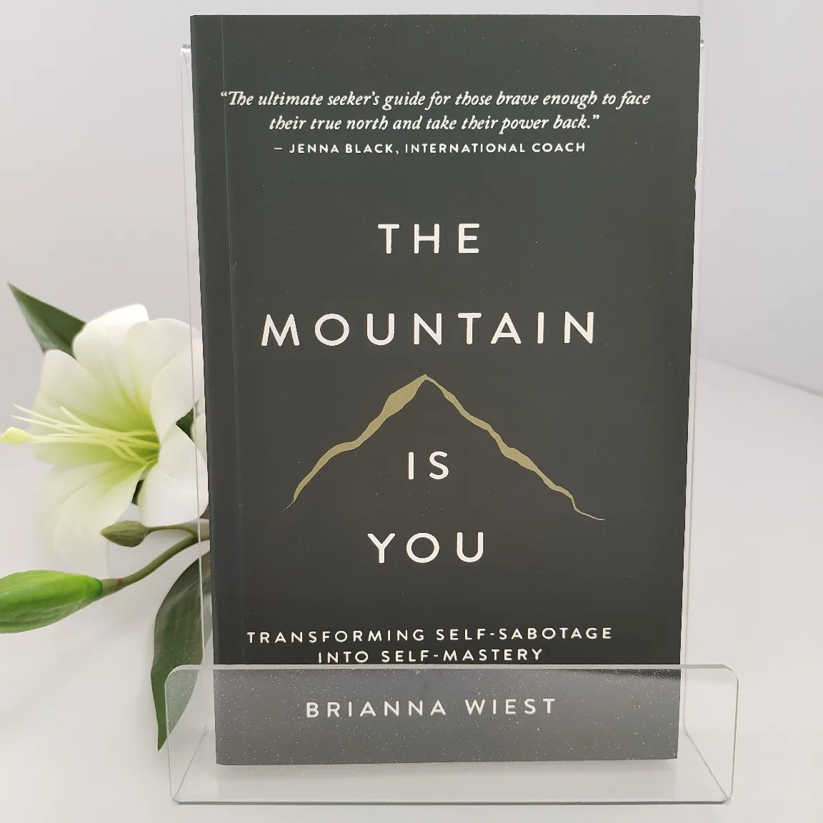 Le Montagne est toi : Livre de motivation et d'autofaisceaulement, transformant l'auto-sabotage en maîtrise de soi (version anglaise)