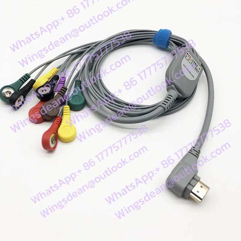 Dynamic ECG Lead Wire, Recorder Box 24H Lead Wire 10 Lead Buttons