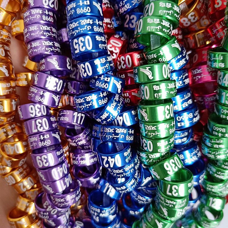 50 قطعة خواتم الطيور الألومنيوم المغلقة المخصصة 2025 أسود 2026 الأخضر كناري البجريجار الذهبي (2.6 مللي متر إلى 9.0 مللي متر)-الوليد 10 أيام