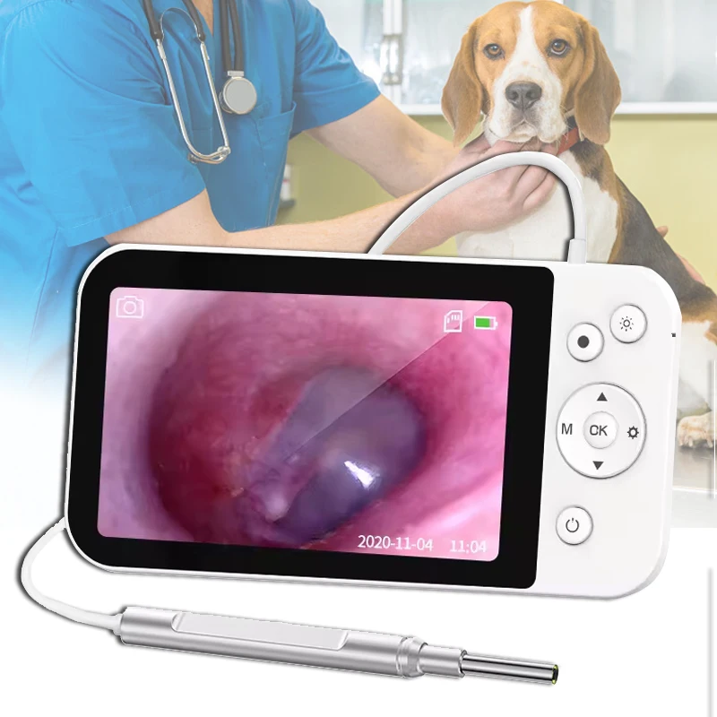 Portable Professional Veterinary Ear Wax Removal Endoscope Otoscope Earwax Endoscope Usb Otoscope Camera For Vet