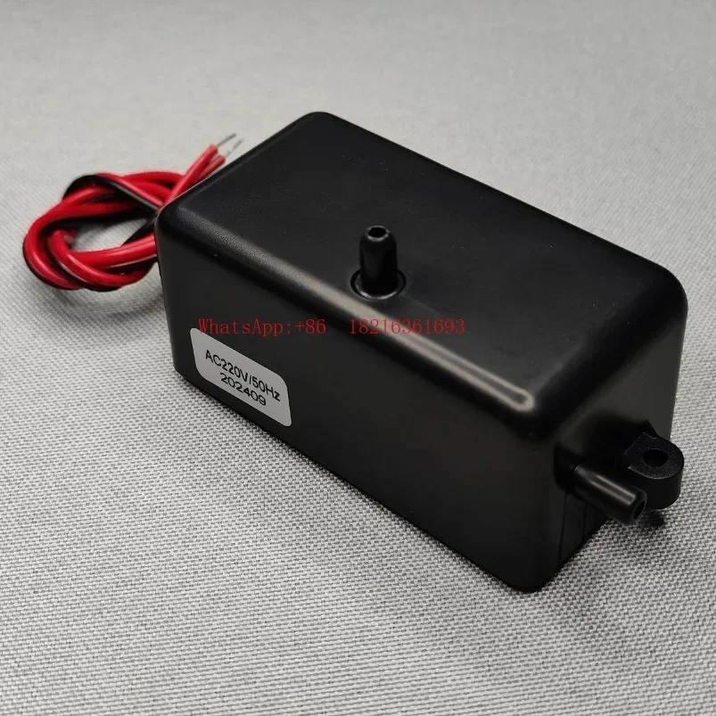 Limited Offer 5L Miniature Air Pump Fruit And Vegetable Machine Ozone Machine Air Pump Factory Direct Sales