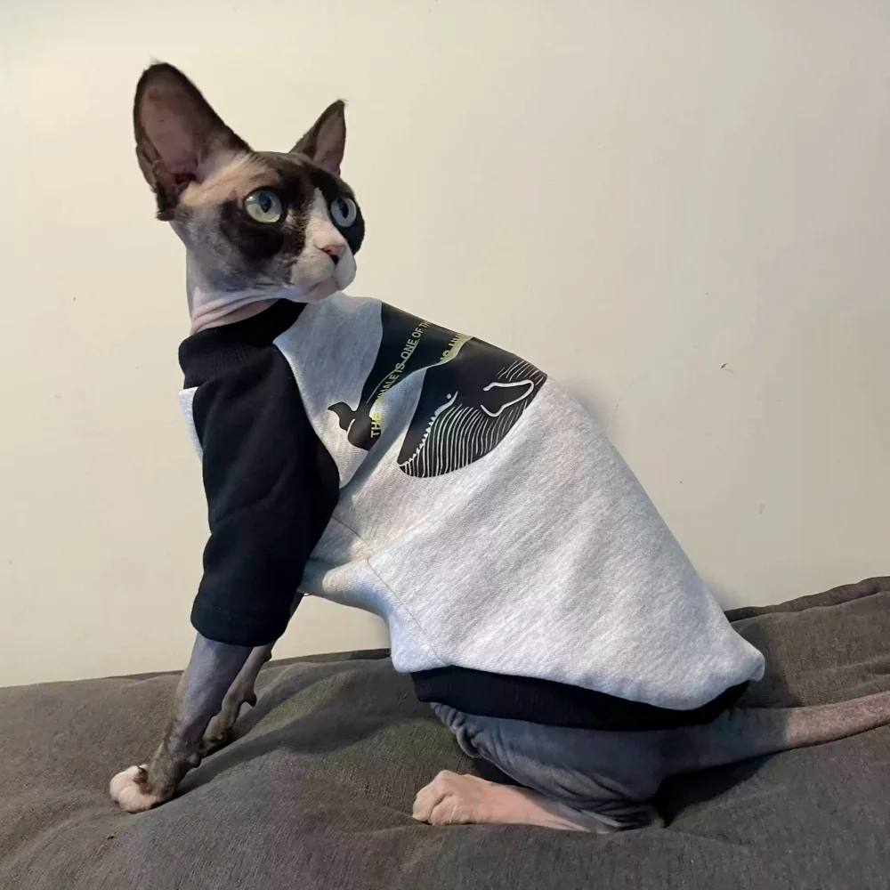 Cartoon Dinosaur Sweatshirt for Sphynx Cat Thick Grey Coat for Kittens Spring Winter Soft Warm Loungewear for Devon Rex