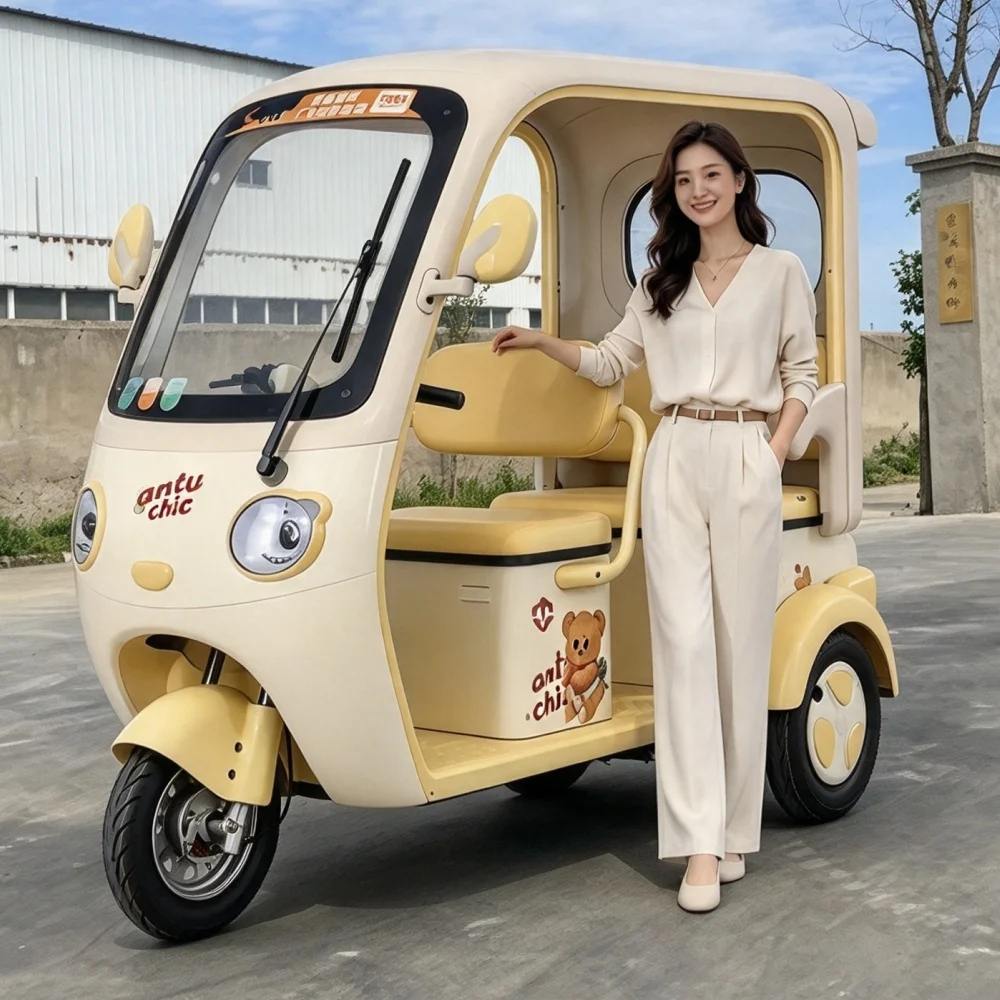 Factory Direct Special Offer Elderly & Adult Leisure Electric Tricycles Closed Body for Pick-Drop Children Cargo Use